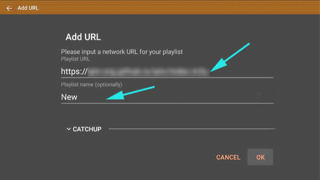Adding IPTV URL on Android TV