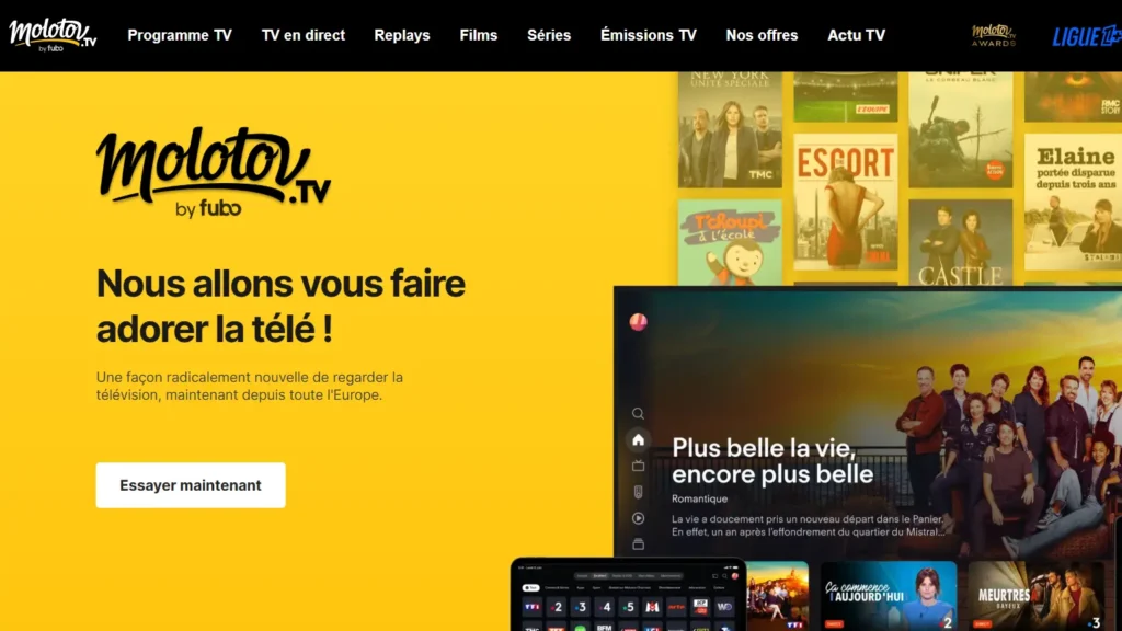 Molotov French IPTV app showing a live TV guide with French channels